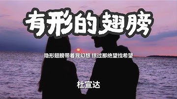 有形的翅膀 - 杜宣达「隐形翅膀带着我幻想 掠过那绝望找希望」 【动态歌词Lyrics】