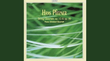 String Quartet No. 1 in D Major, Op. 13: II. Kräftig mit humor