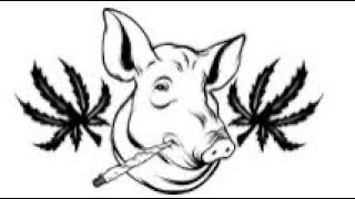 WEED HOGS #10