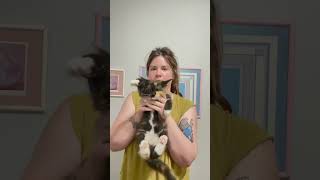 Chokehold - 8 Week Old Maine Coon Kitten Personality Assessment