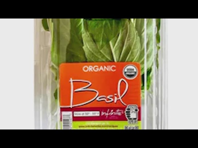 Trader Joe S Recalls Basil Tied To Salmonella Outbreak