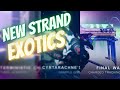 STRAND Lightfall Exotics Teaser Trailer Breakdown