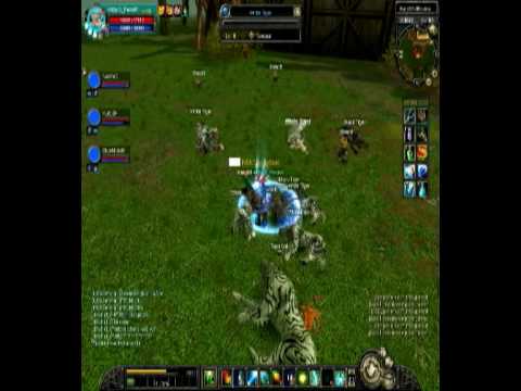 WizarD_PoweR Vs Tiger Girl 2.wmv