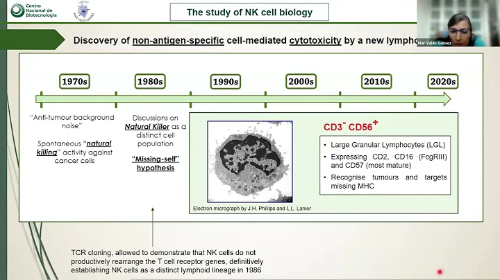 10th IMMUNO-model webinar NK cells