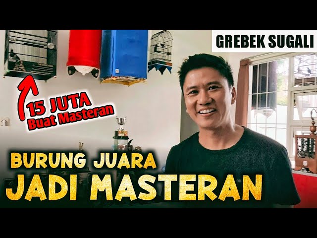 Burung Juara dibuat Masteran - Grebek Roni Sarikat Part 1/2 class=