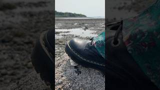 ASMR Fun: Boot crushing a sea shell! #asmrsounds #forfun #oceanfloor #boots #crunchy