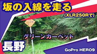 【ツーリング】XLR250Rで林道　坂の入線【林道】