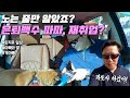 [50대 퇴직후 일상] 은퇴백수 파파, 사실은 직업이 있었어요..(?!)