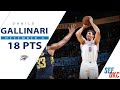 Danilo Gallinari&#39;s Full Highlights: 18 PTS vs Pacers | 2019-20 NBA Season - 12.4.19