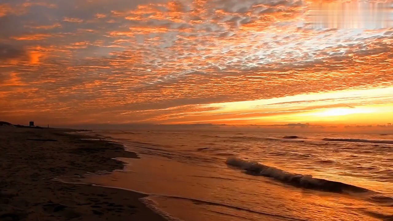 Beautiful Relaxing Music Stress Relief 🌼Soothing Music With Nature Sound & Calm The Mind, Deep Sleep