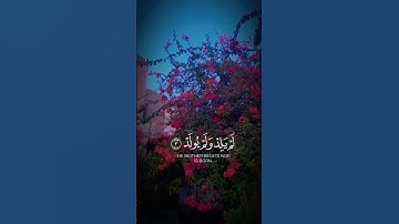 سورة الاخلاص  ﷽ ﴿قُلْ هُوَ اللَّهُ أَحَدٌ ) تعدل ثلث القرآن