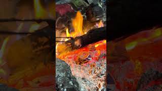 Satisfying ASMR Fire – Burning Object in Slow Motion | Relaxing Fire Sounds | صدای سوختن در اتش