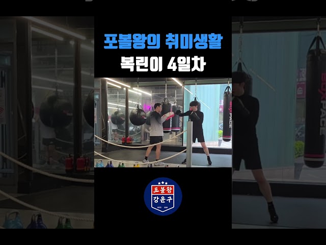 복싱4일차