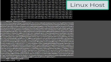 Nokia SR Linux System: Enabling gNMI