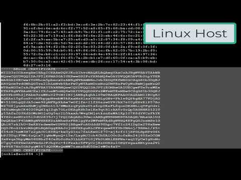 Nokia SR Linux System: Enabling gNMI