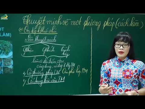 Video Ngữ Văn Lớp 8 - Bài giảng Thuyết minh về một phương... - YouTube