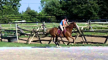 Mystic Hazel - Gladstone Farm