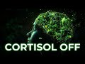 Instant Anxiety Relief: Green Noise Nature Detox (Lower Cortisol) | NeuroRenewal