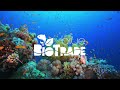 Promoting Blue BioTrade in the Eastern Caribbean