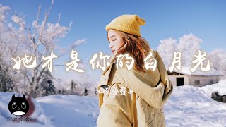 李發發 - 她才是你的白月光『她值得你一生回望，我卻活該摔一身傷。』【動態歌詞 | Pinyin Lyrics】【PENGUIN MUSIC】