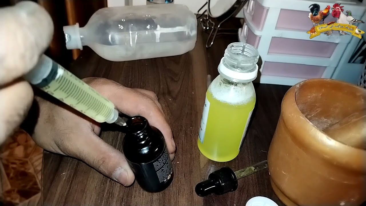 علاج التنفسيه والنيوكاسل للطيور اصنعه في بيتك  افضل علاج بشري للطيور المصابه