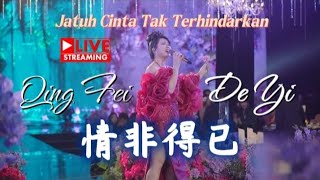   Qing Fei De Yi lirik Hanzi  Terjemahan  Amelia Lin  Performance