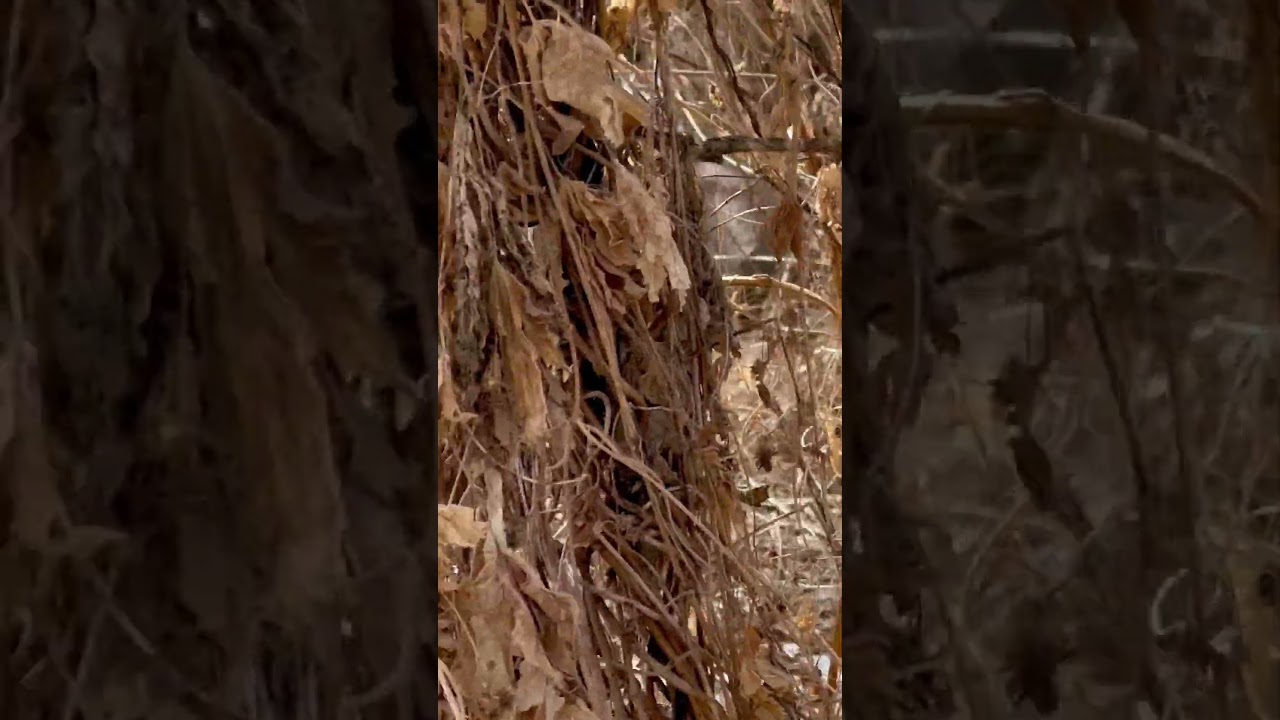 Look WHAT We Bumped!!!