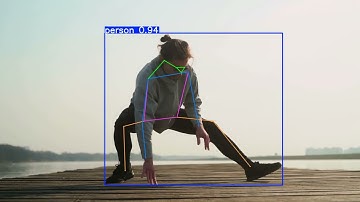 YOLO11 | Object Detection, Pose Detection and Segmentation Test Samples