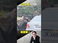 開戰！警匪駁火三千發 火線蒐證影帶獨家曝光  ⁨@ebcapocalypse   #shorts