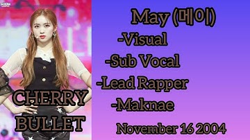 Making My Own Kpop Girl Groups And Giving Them Positions