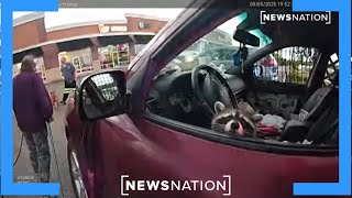 Police find racoon with meth pipe during arrest