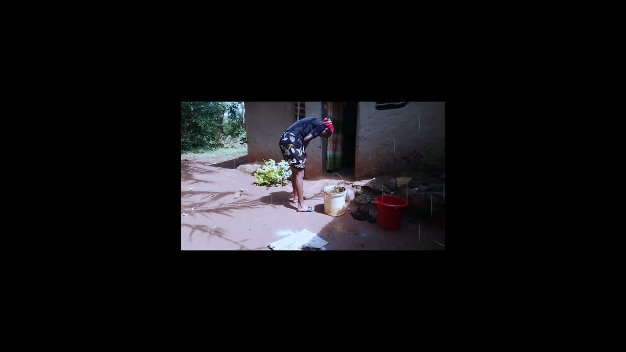 Village cleaning using cowdung
