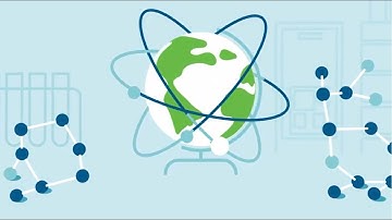 MetaSense: Metabolite Identification That Just Makes Sense