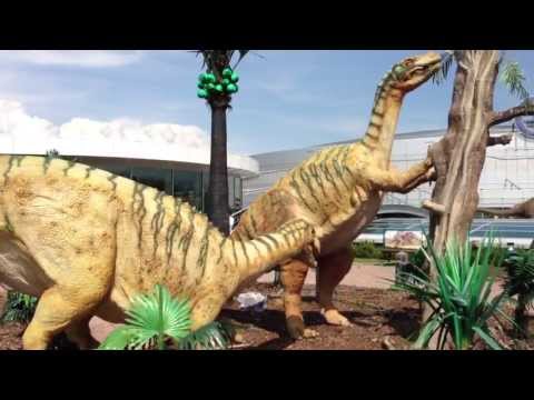 Video: V Arkansasu Nalezené Stopy Dinosaurů S Vynikající Ochranou - Alternativní Pohled