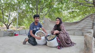 🌰 Haidar and Zahra’s Trip to Khanmirza: A Day of Hard Work Collecting Walnuts ❤️🌳
