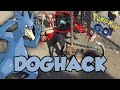 PGO: CHOCANDO OVOS COM HACK DOG NO POKEMON GO