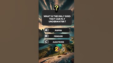 Can you get 4/4? #quiz #triviatricks #quizchallenge #trivia #mindbendingquiz #quizgames #quiztime