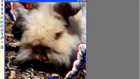 Soft Scissors : An Interactive Tool for Realtime High Quality Matting