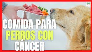 ✅ NATURAL FOOD FOR DOGS WITH CANCER ✅ (KETOGENIC OR KETO DIET) screenshot 4