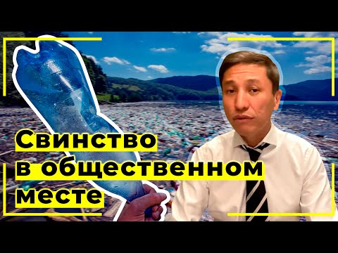 Свинство в общественном