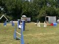 Kriska dalmatienne en concours dagility au jumping