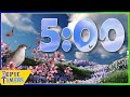 5 Minute Springtime Bird’s Song Timer with calm music!