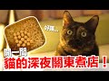 【好味小姐】開一間貓的深夜關東煮店！｜貓副食｜貓鮮食廚房EP204