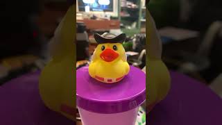 Famous We should be safe here Net Worth