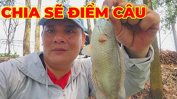 Chia Sẽ Điểm Câu Hòa Khánh Nam-Đức Hòa-Long An