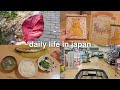 Living in Japan Daily Life Vlog 🇯🇵 Autumn in Japan, Grocery Shopping and Cooking 🍳🍂