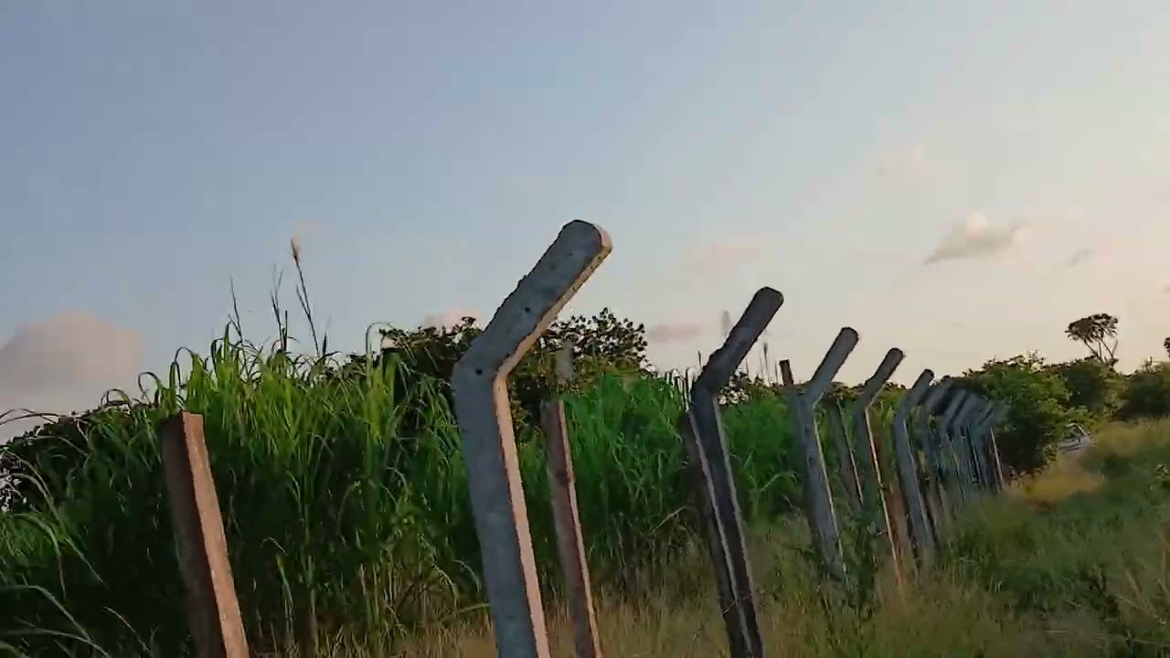 September 13, 2025  beer 3 ekar ah oo iib ah ayaan hayna liin dhanan ayaa ku abuuran sharcina leh