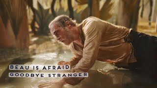 goodbye stranger || beau is afraid