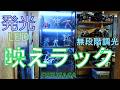FUFU&GAGA 進化版コレクションケース