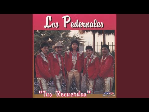 Los Tequileros